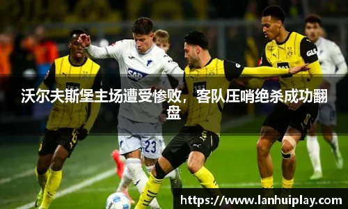 OD体育官网入口