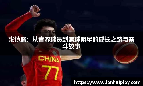 OD体育官网入口