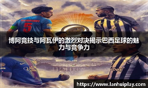 OD体育官网入口