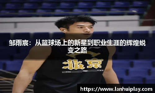 OD体育官网入口